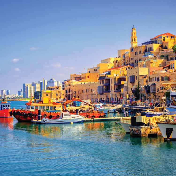 טפט אורבני, נמל יפו - מרשמלו עיצוב הבית